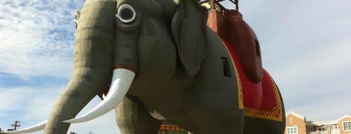 Lucy the Elephant is one of DO ATTRACTIONS.
