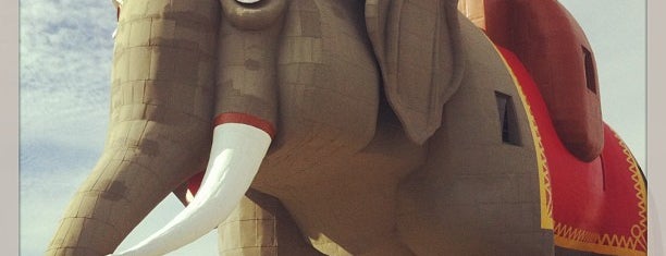 Lucy the Elephant is one of DO ARTS & CULTURE.