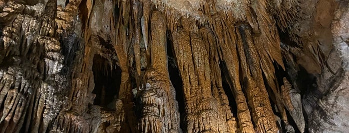 Luray Caverns is one of Family trips.