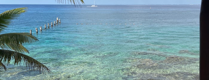 Blue Angel Resort is one of Dive Centers.