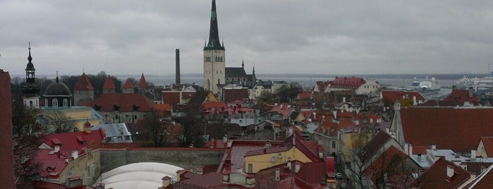 Смотровая площадка Кохтуотса is one of Tallin.