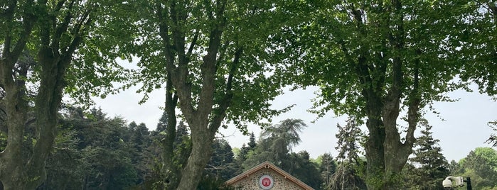 Beykoz Cam ve Billur Müzesi is one of İstanbulda gezilecek yerler.