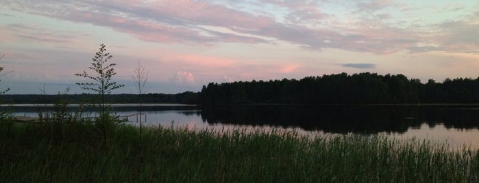 Ромашки is one of Lieux qui ont plu à Yunna.