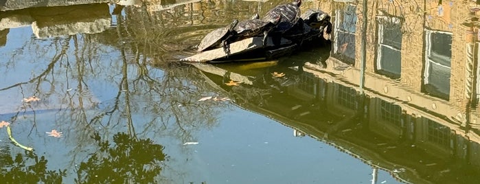 Turtle Pond is one of Austin.