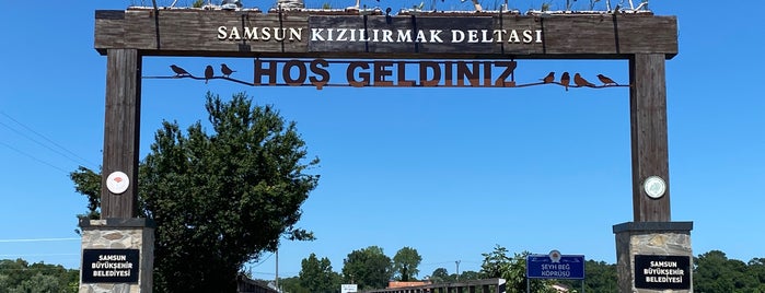 Kızılırmak Deltası Kuş Cenneti is one of Gidilecek Yerler.