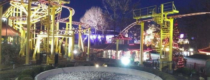 Spinning Dragons is one of ROLLER COASTERS 2.