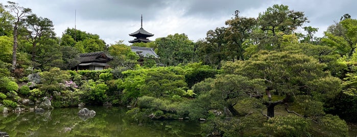 仁和寺庭園 is one of Kyoto Must See.