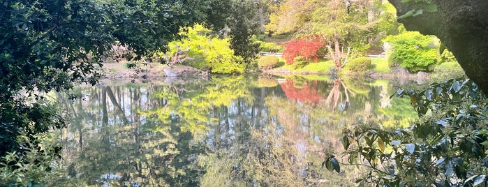 中の池 is one of お散歩マップ.