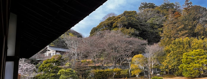 建長寺 禅居院庭園 is one of 鎌倉逗子葉山.
