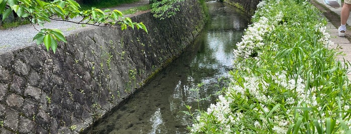 Philosopher's Path is one of Japan Anja.