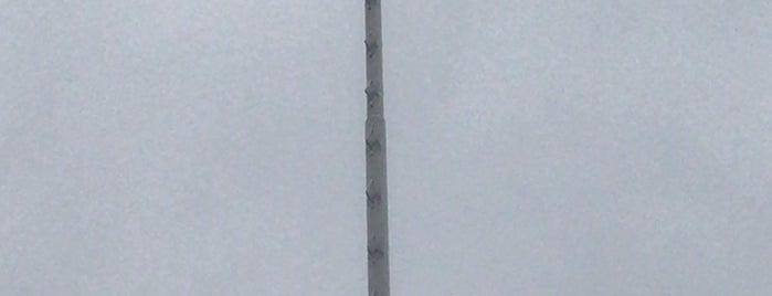 Voladores de Papantla is one of สถานที่ที่ Victor M ถูกใจ.