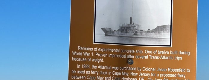 SS Atlantus Concrete Ship is one of Cape May Birding.