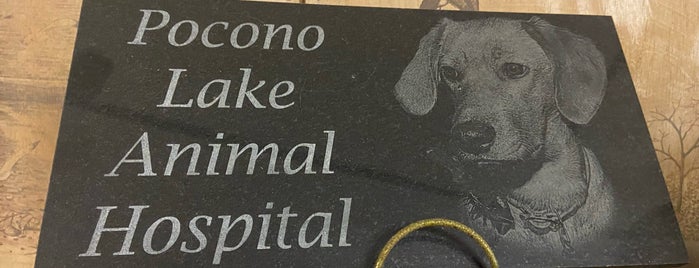 Pocono Lake Animal Hospital is one of G : понравившиеся места.