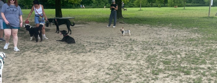 Otto Armleder Dog Park is one of Cincinnati.