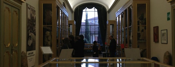 Dipartimento di Scienze anatomiche is one of Alma Mater Studiorum - Università di Bologna.
