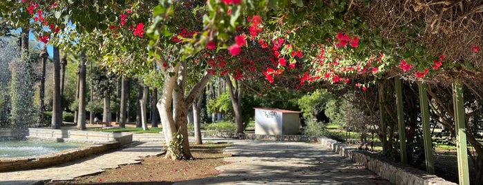 Municipal Gardens is one of Cyprus: Nicosia.