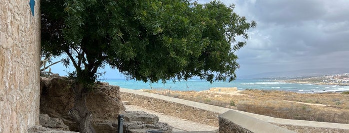 Ancient Odeon is one of Paphos.