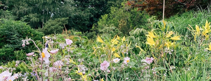 Alter Botanischer Garten is one of Göttingen.