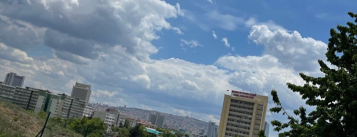 Maden ve Petrol İşleri Genel Müdürlüğü is one of Mehmet Nadir : понравившиеся места.