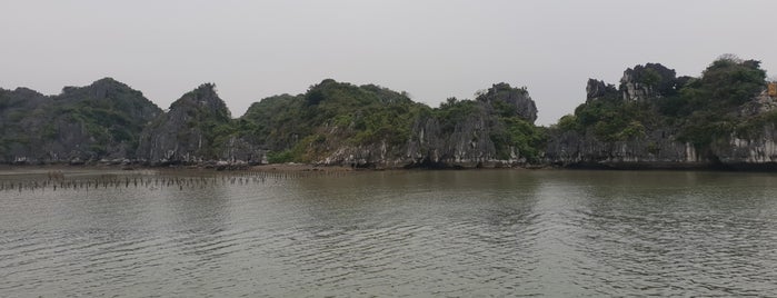 Thoi Quyt Island is one of Lugares favoritos de Eliana.