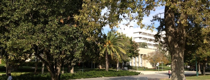 Weizmann Institute of Science is one of Best picnic spots in Israel.