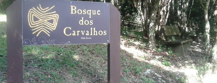 Trilha Bosque Dos Carvalhos - is one of Places.