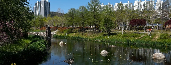 Busan Citizens Park is one of South Korea 🇰🇷.