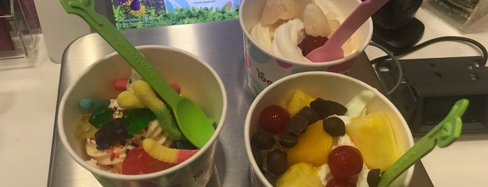 Yogurtland is one of To Do in Florida.