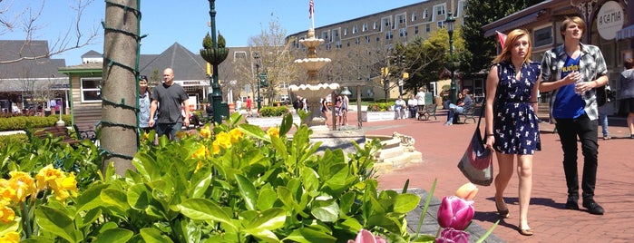 Washington St. Mall is one of Cape May.