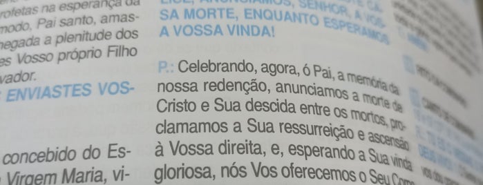 Paróquia Nossa Senhora da  Assunção is one of ArqDiocese.