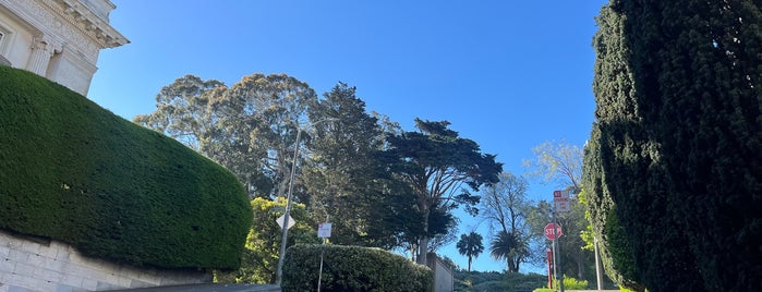 Lafayette Park is one of San Francisco: Places to Go.