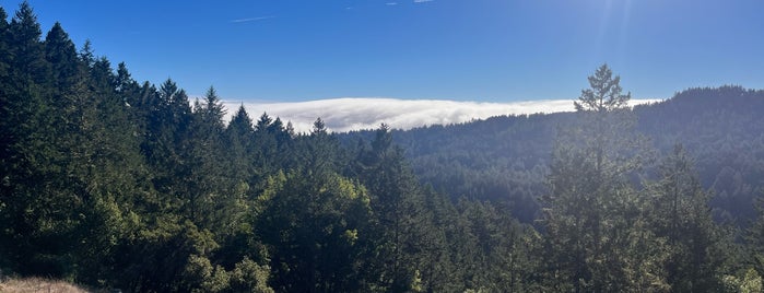 Panoramic Trail is one of Silicon Valley.