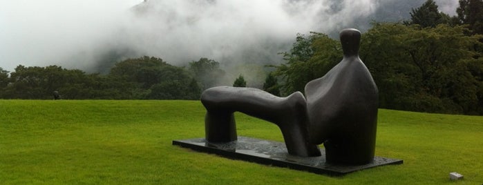 The Hakone Open-Air Museum is one of 日本.