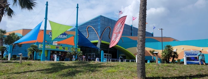 Ripley's Aquarium is one of Kids' Roadtrip.