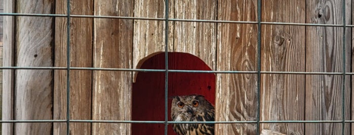 Adirondack Wildlife Refuge is one of USA.