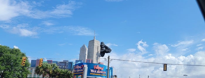 Hollywood Wax Museum Entertainment Center is one of Myrtle Beach.