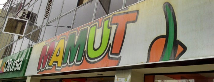 El Mamut is one of สถานที่ที่ Miguel ถูกใจ.