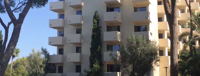 Delta Hotel Mallorca is one of สถานที่ที่ Stoian ถูกใจ.