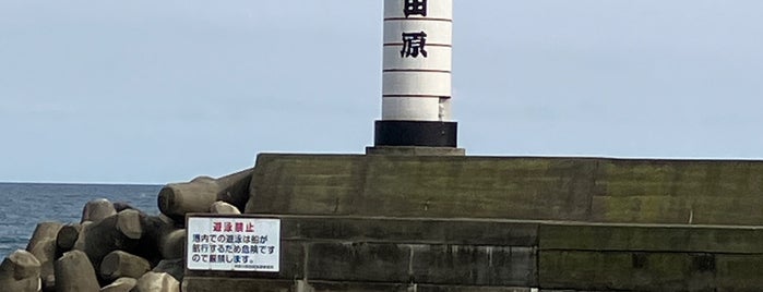 小田原魚市場 is one of 小田原箱根.