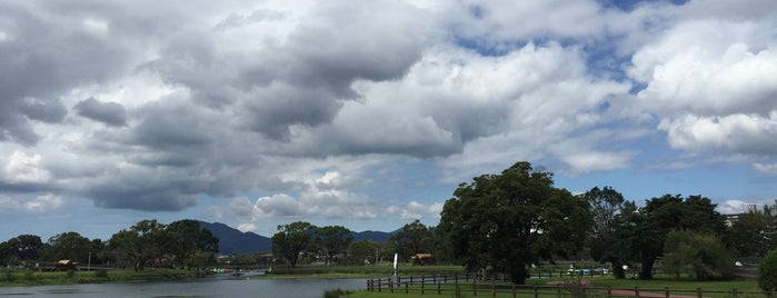 上江津湖 is one of 熊本市.
