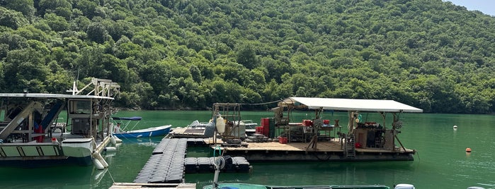 Tony's Oyster Shack is one of Adventure - Europe.