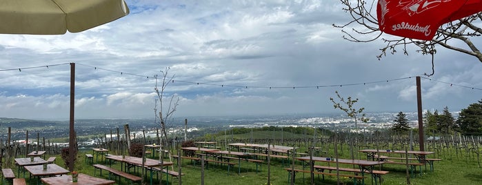 Wieninger am Nußberg is one of 🇦🇹 Vienna - 🍽 Food & 🍷 Beverages.