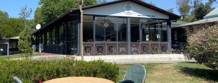 Güzel Sanatlar Parkı is one of Cafe.