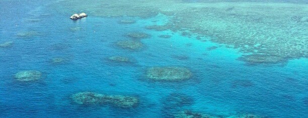 Great Barrier Reef is one of International Places To Go.