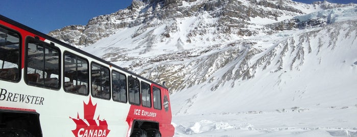 Columbia Icefield Glacier Experience is one of Alberta - Wild Rose Country.