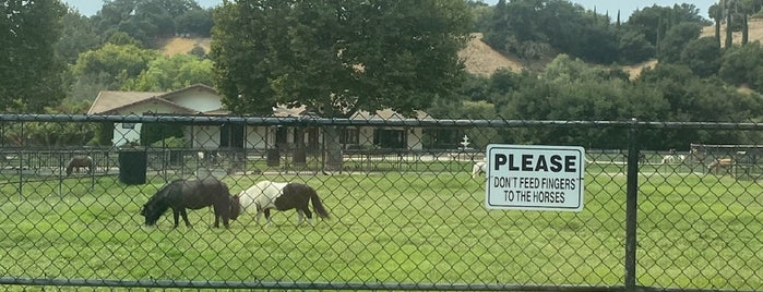 Quicksilver Mini Horse Ranch is one of Santa Barbara.