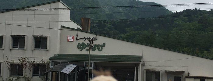 榛名湖温泉 レークサイドゆうすげ is one of Z33 님이 저장한 장소.
