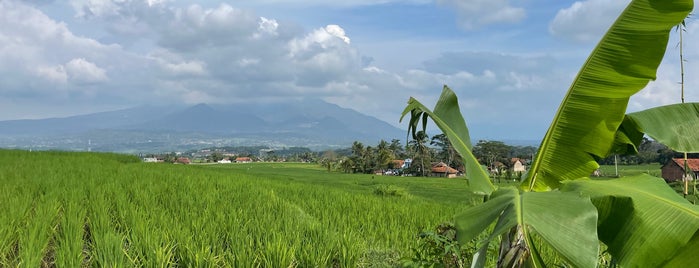 Garut is one of Kota di Jawa.