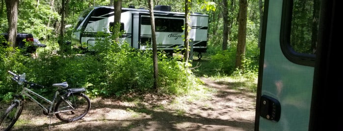 Fort Custer Recreation Area Modern Campground is one of Locais curtidos por Dan.