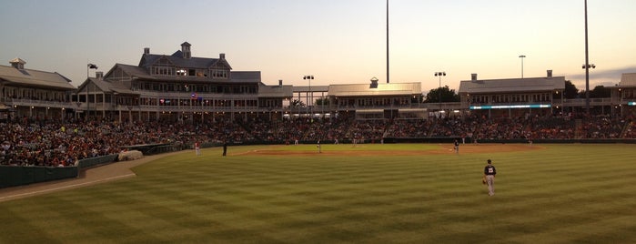 Dr Pepper Ballpark is one of * Gr8 Museums, Entertainment & Attractions—DFdub.